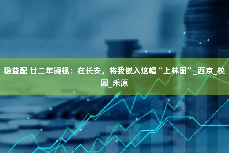 稳益配 廿二年凝视：在长安，将我嵌入这幅“上林图”_西京_校园_禾原