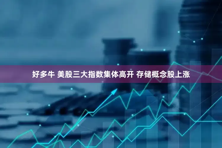 好多牛 美股三大指数集体高开 存储概念股上涨